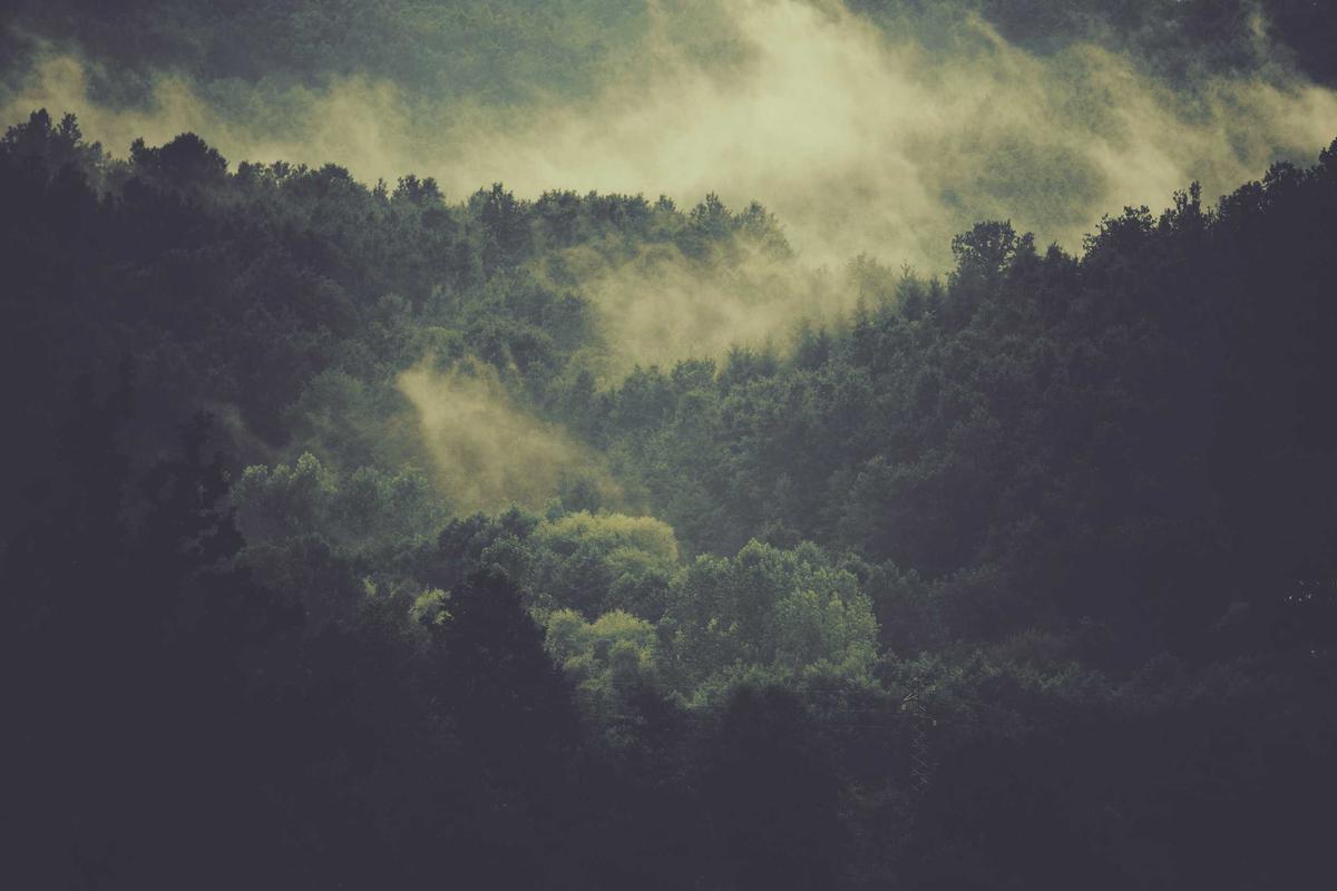 Mobil Baru IIMS 2026, Bocoran Tren Otomotif & Model Terbaru