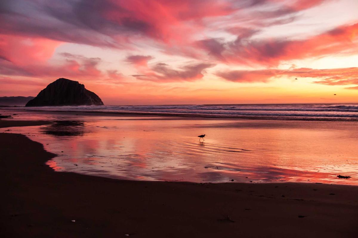 GAC Group Siapkan Peluncuran Berbagai Model Mobil Listrik Baru