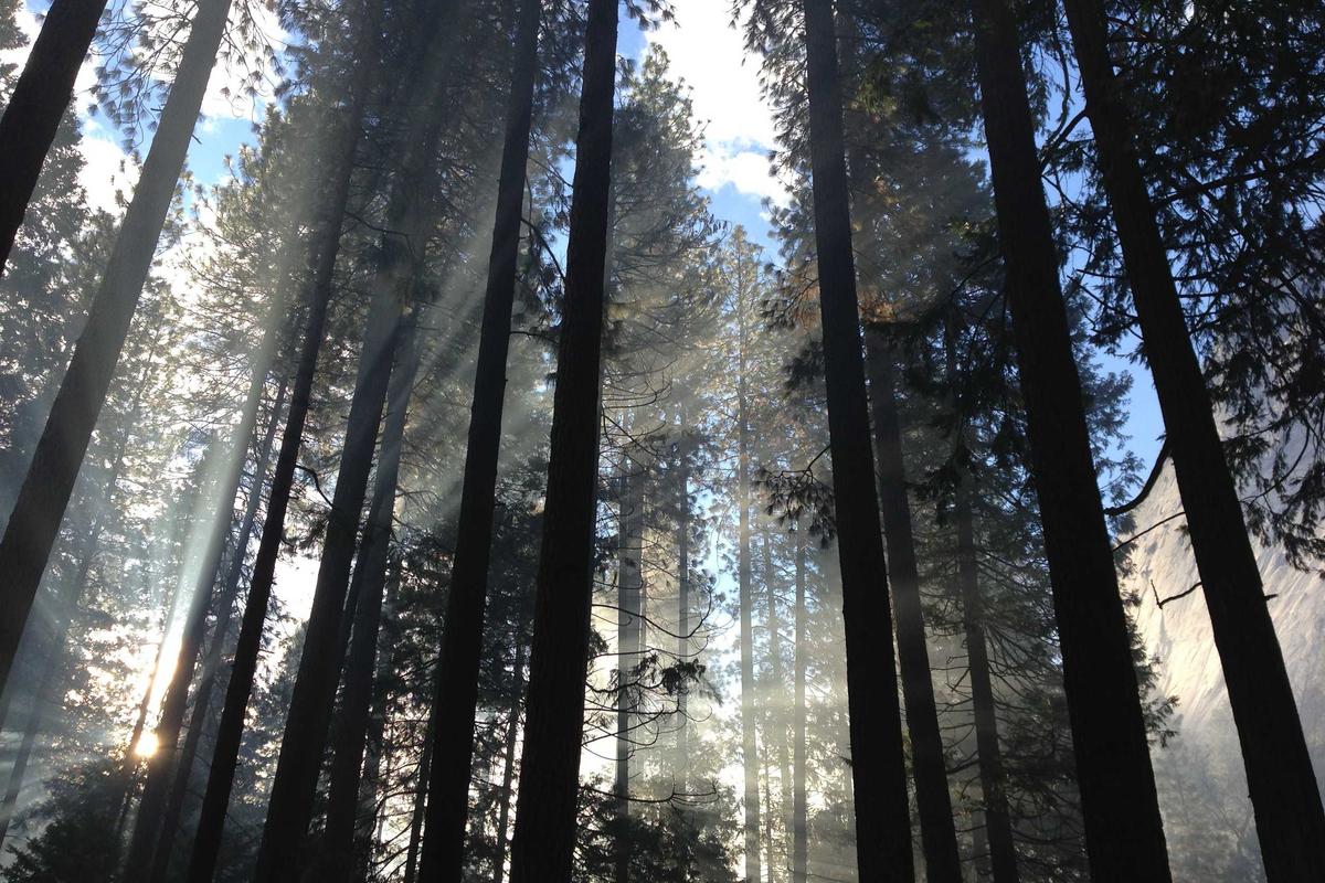 Mobil Baru IIMS 2026, Bocoran Tren Otomotif & Model Terbaru