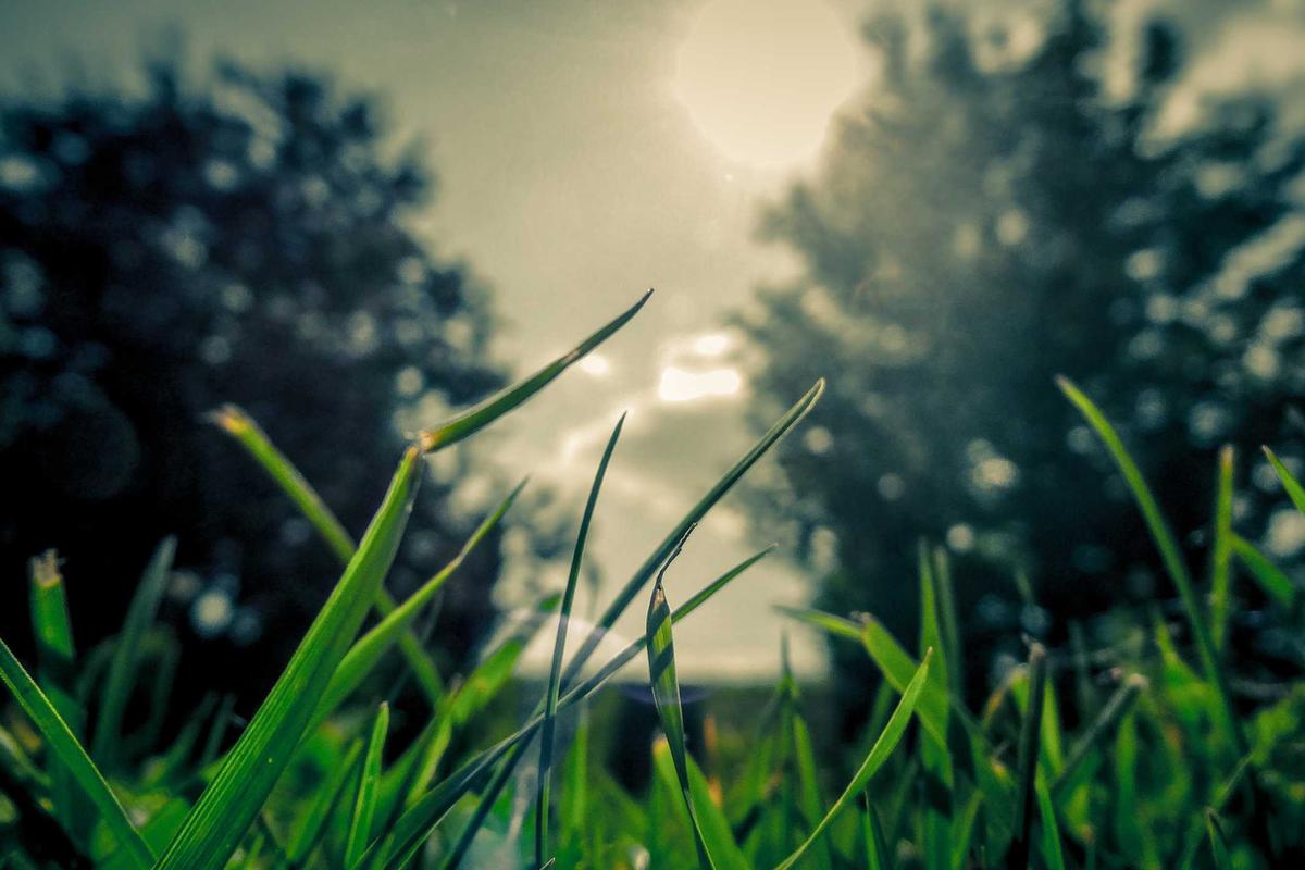 Mobil Baru IIMS 2026, Bocoran Tren Otomotif & Model Terbaru