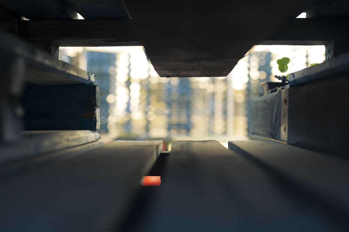 Mobil Baru IIMS 2026, Bocoran Tren Otomotif & Model Terbaru