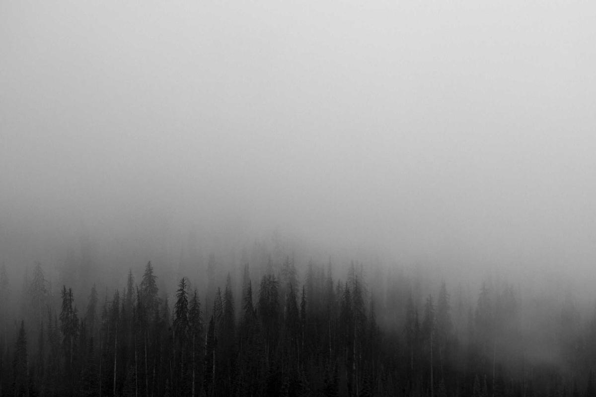 Mobil Baru IIMS 2026, Bocoran Tren Otomotif & Model Terbaru