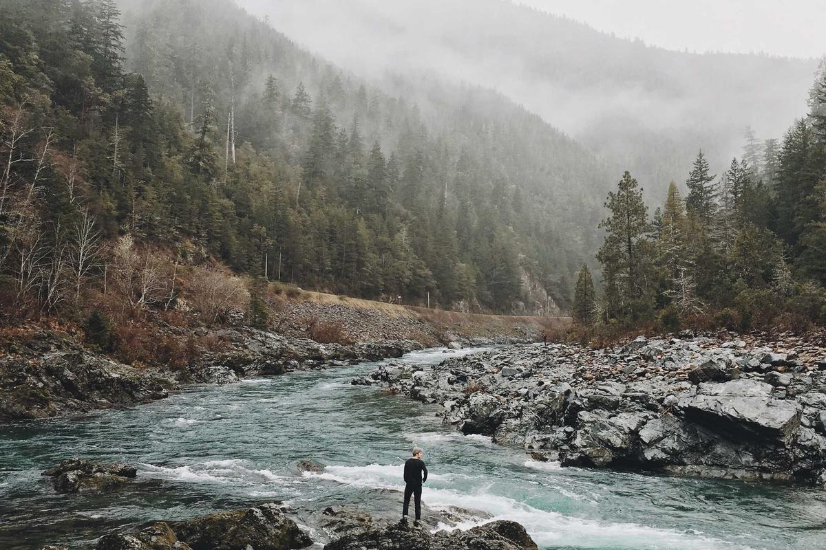 Mobil Baru IIMS 2026, Bocoran Tren Otomotif & Model Terbaru