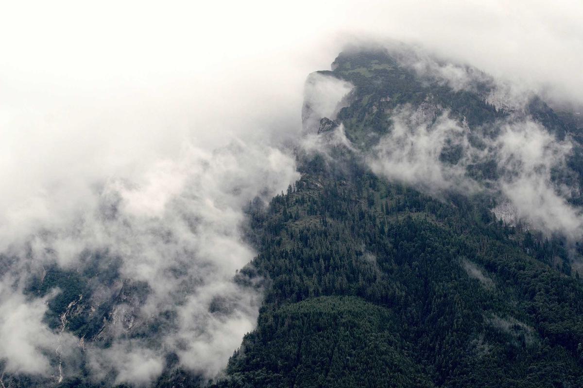 Mobil Baru IIMS 2026, Bocoran Tren Otomotif & Model Terbaru