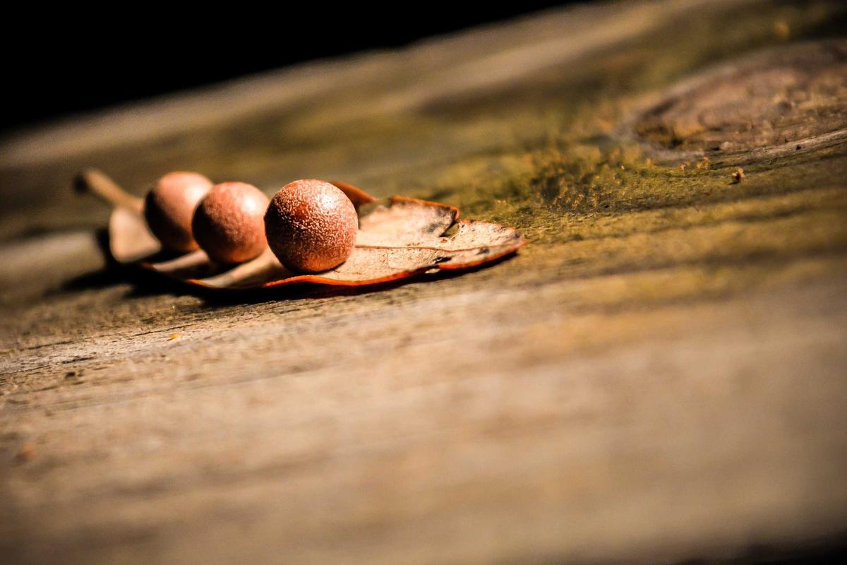 Mobil Baru IIMS 2026, Bocoran Tren Otomotif & Model Terbaru